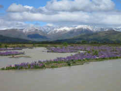 011206Paysage1.jpg (103477 octets)