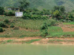 030706FleuveYangzi gorges14.jpg (202248 octets)