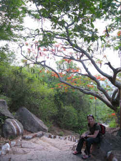 050506MysoreChamundiHill2.jpg (373950 octets)