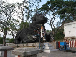 050506MysoreNandi.jpg (209390 octets)