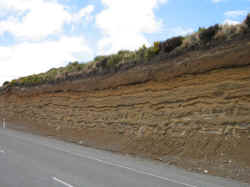 061206TongariroPark2.jpg (123437 octets)