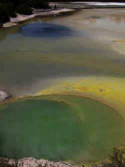 071206WaiOTapu5.jpg (134198 octets)