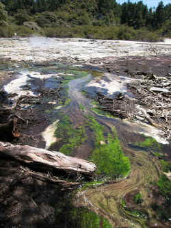 071206WaiOTapu9.jpg (369518 octets)