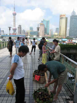 080706ShanghaiBaieBund3.jpg (237015 octets)