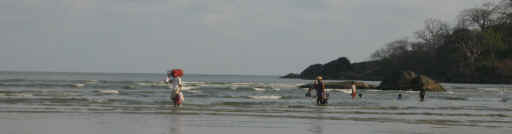 110506PalolemGoa13.jpg (129875 octets)