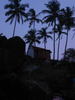 110506PalolemGoa18.jpg (120080 octets)