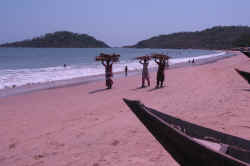 110506PalolemGoa19.jpg (90262 octets)