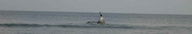 110506PalolemGoa1.jpg (85220 octets)