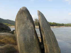 110506PalolemGoa3.jpg (115561 octets)