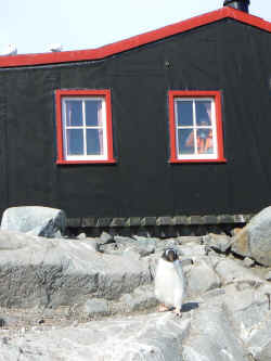140107AntartiquePortLockroyBaseANabil3.jpg (226246 octets)
