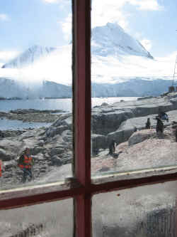 140107AntartiquePortLockroyPingouinFarida2.jpg (186622 octets)