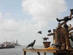 150506MumbaiMosqueeHajAli4.jpg (86011 octets)