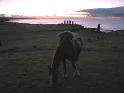 211206IlePaquesMoaiChevalCoucherSoleil1.jpg (83020 octets)