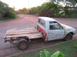 211206IlePaquesVehicule1.jpg (152123 octets)