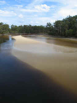221107TasmaniePaysage1.jpg (142748 octets)