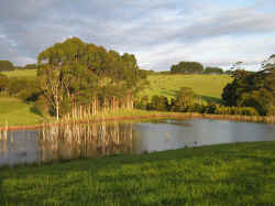 221107TasmaniePaysage2.jpg (149116 octets)