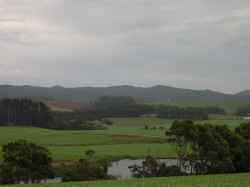 221107TasmaniePaysage3.jpg (81441 octets)