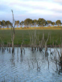 221107TasmaniePaysage4.jpg (291627 octets)