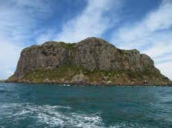 221107TasmaniePaysage5.jpg (134298 octets)