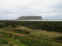 221107TasmaniePaysage6.jpg (109735 octets)