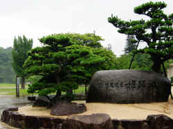 230706HimejiHimeijiJo11.jpg (160882 octets)