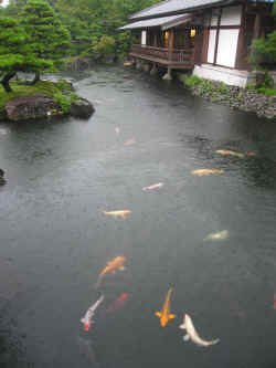 230706HimejiHimeijiJoJardin3.jpg (202246 octets)