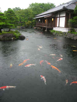 230706HimejiHimeijiJoJardin4.jpg (227229 octets)