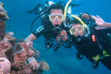 251006CairnsPlongeeNabilFarida.jpg (856044 octets)