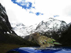 261106MilfordSoundPaysage1.jpg (126361 octets)