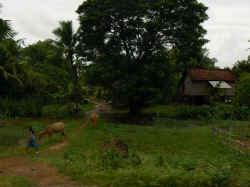 280806RiveLacTonleSap2.jpg (138642 octets)