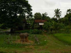 280806RiveLacTonleSap3.jpg (130706 octets)