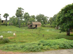 290806VersSiemReap4.jpg (141098 octets)