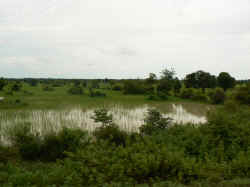290806VersSiemReap6.jpg (107619 octets)