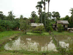 290806VersSiemReap8.jpg (153887 octets)