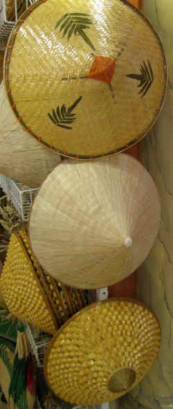 ChapeauConique.jpg (353216 octets)