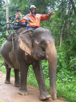 ElephantNabilFarida1.jpg (318155 octets)