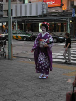 Geisha1.jpg (221835 octets)