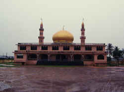 Mosquee1.jpg (106103 octets)